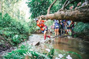 BIB: 
                            <button type="button" onclick="openModal(25514317)" class="btn btn-primary btn-sm float-right btn-popup" data-toggle="modal" data-target=".modal-high-quality">
                        <i class="fas fa-shopping-cart"></i> Add to Cart
                    </button>
                                            <button type="button" onclick="isThisMe(25514317, true)" class="btn btn-success btn-sm float-right btn-popup btn-isme hidden" data-toggle="tooltip" data-placement="bottom" title="นี่คือรูปของคุณใช่ไหม คลิกที่นี่เพื่อเอาเข้าอัลบั้ม">
                        <i class="fas fa-plus"></i> Add to album
                    </button>
                    <button type="button" onclick="isThisMe(25514317, false)" class="btn btn-warning btn-sm float-right btn-popup btn-isnotme hidden">
                        <i class="fas fa-ban"></i> Remove from album
                    </button>